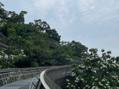 -福道