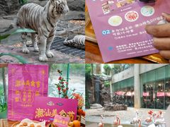 -白虎自助餐厅·真老虎·景观自助餐厅(广州长隆酒店)