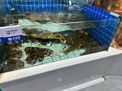 -大锅强·蒸海鲜青岛菜(吾悦广场店)