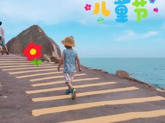 -广东惠东海龟国家级自然保护区