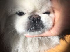 -沐泷泉(南风大剧院店)