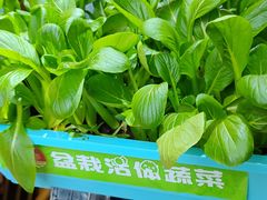 -番食园鲜食火锅(高新店)