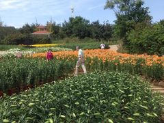 -白沙门生态公园