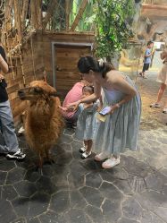 -Zoolung Zoolung动物主题公园(海信广场店)