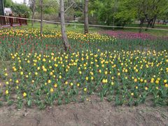 -长春公园(普阳街道)