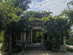 -北岭山森林公园