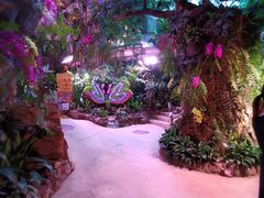 -正佳雨林生态植物园
