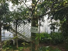 -中国农科院国家农业科技展示园