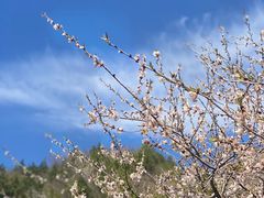 -居庸关长城