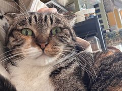 -平行世界·猫咖(首经贸店)