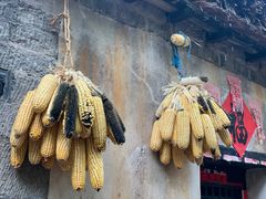 -井塘古村