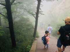 -崂山巨峰游览区