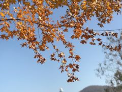 -沈阳辉山风景区