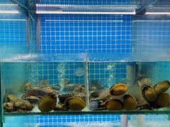 -白仁仔· 活烤海鲜 宵夜(豫园店)