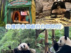 -广州长隆野生动物世界