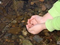 -碓臼峪自然风景区