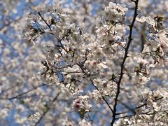 -龙美术馆(西岸馆)