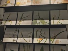 -喜茶(上海兴业太古汇店)