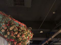 -纳瓦新疆菜(银都店)