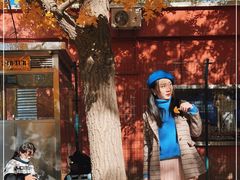 -三里屯东五街银杏大道