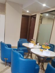 -碧莲盛·不剃发植发