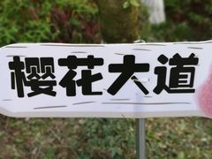 -金鸡湖桃花岛