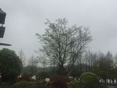 -茅山东方盐湖城景区