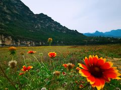 -十渡东湖港风景区