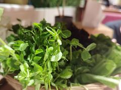 -牛村来人潮汕牛肉火锅(西单店)