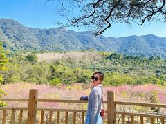 -福清灵石山国家森林公园