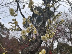 -无锡梅园公园
