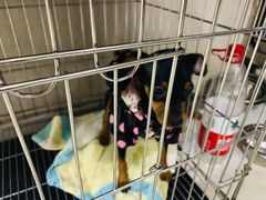 -百恒宠物医疗中心