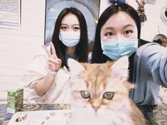 -平行世界·猫咖(首经贸店)