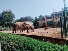 -昆明动物园