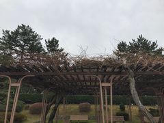 -名古屋城