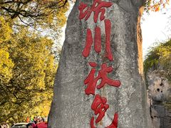 -塔川景区