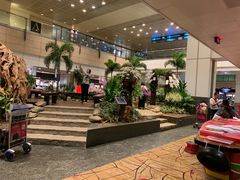 -樟宜机场免税店