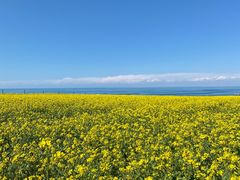 -青海湖国家重点风景名胜区