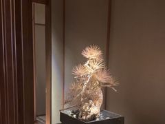 -浅深(北京北四环精品店)