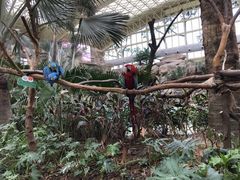 -杭州开元森泊度假乐园