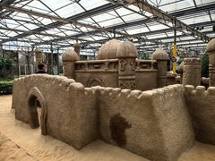 -南宫五洲植物乐园