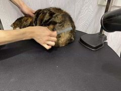 -宠颐生动物医院·小陆分院