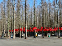 -东平国家森林公园