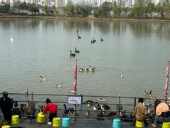 -艾溪湖湿地公园