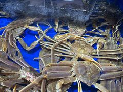 -船梆煮•蒸汽海鲜·炉火烤肉(五四广场店)