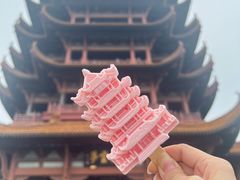 -黄鹤楼公园(黄鹤楼)