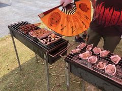 -春花秋色城市公园