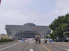 -老板恋上鱼(印象城店)