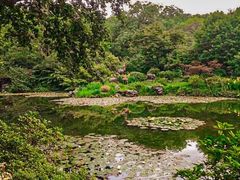 -杭州植物园