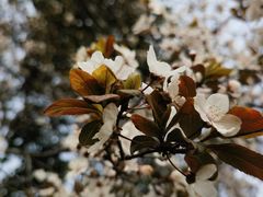 -兴隆文化园景区-兖州博物馆